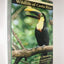 Field Guide to the Wildlife of Costa Rica by Henderson, Carr