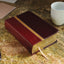 NIV, The Message, Parallel Study Bible, Leathersoft, Brown: Two Bible Versions Together with NIV Study Bible Notes