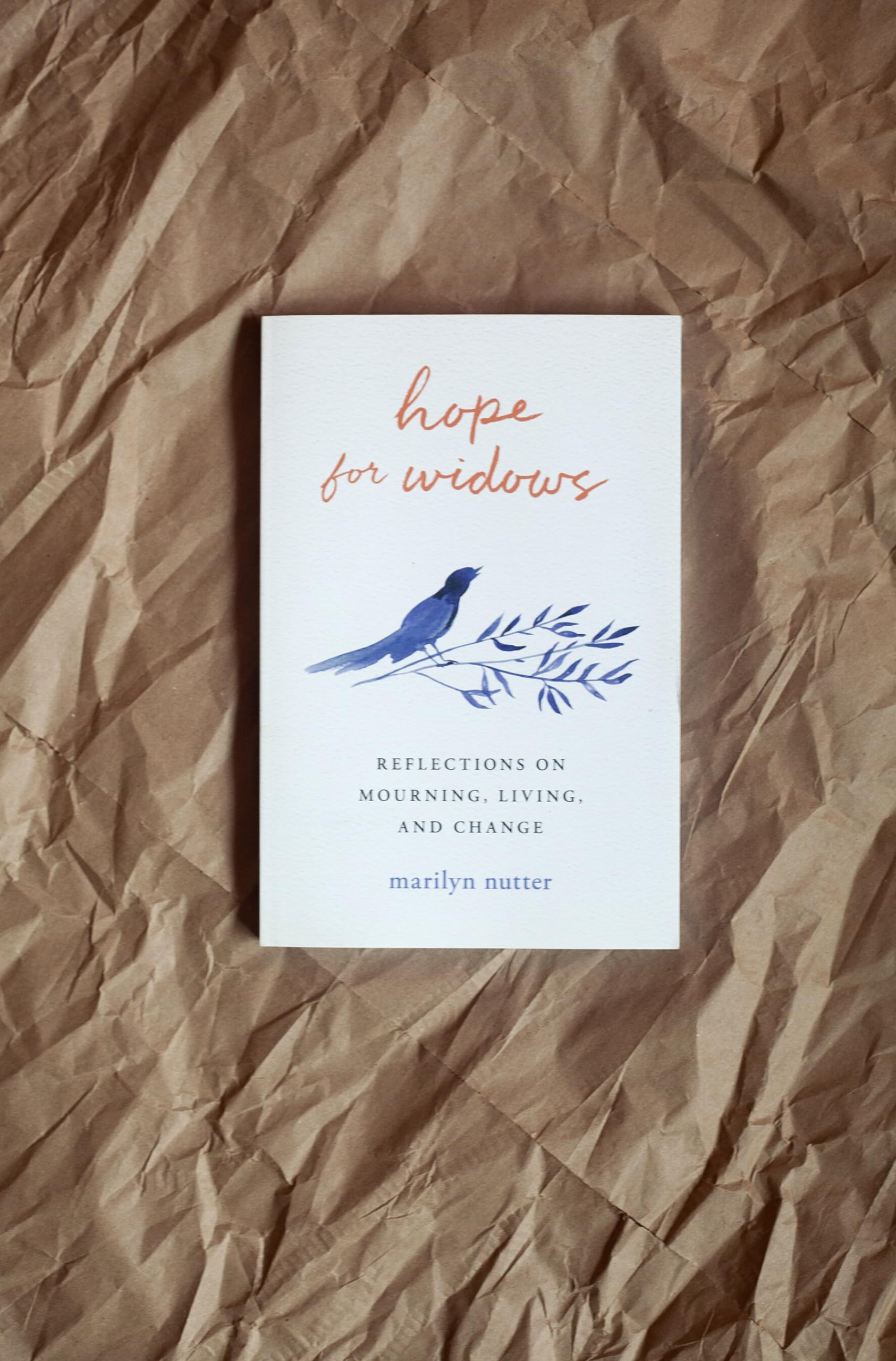 Hope for Widows: Reflections on Mourning, Living, and Change