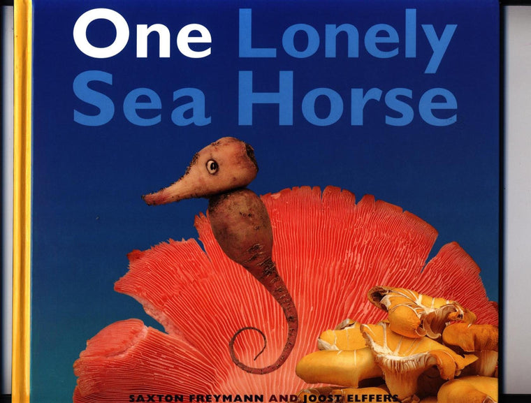 One Lonely Seahorse