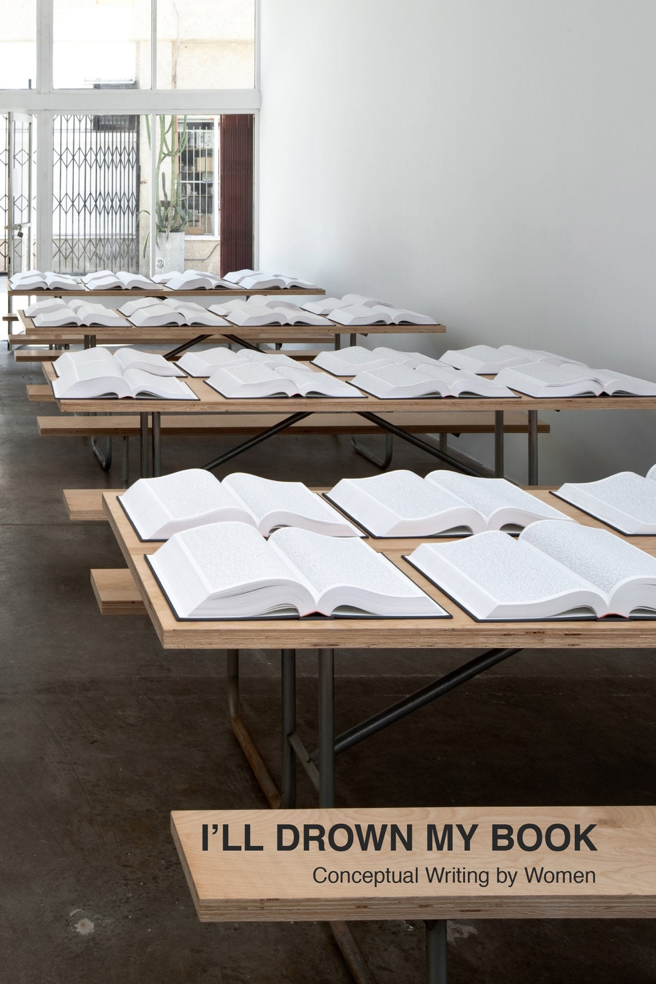 I'll Drown My Book: Conceptual Writing by Women by Bergvall,