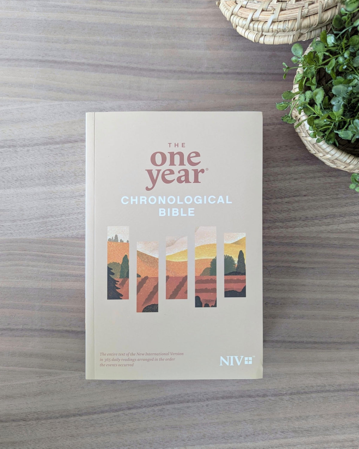 The One Year Chronological Bible NIV (Softcover)