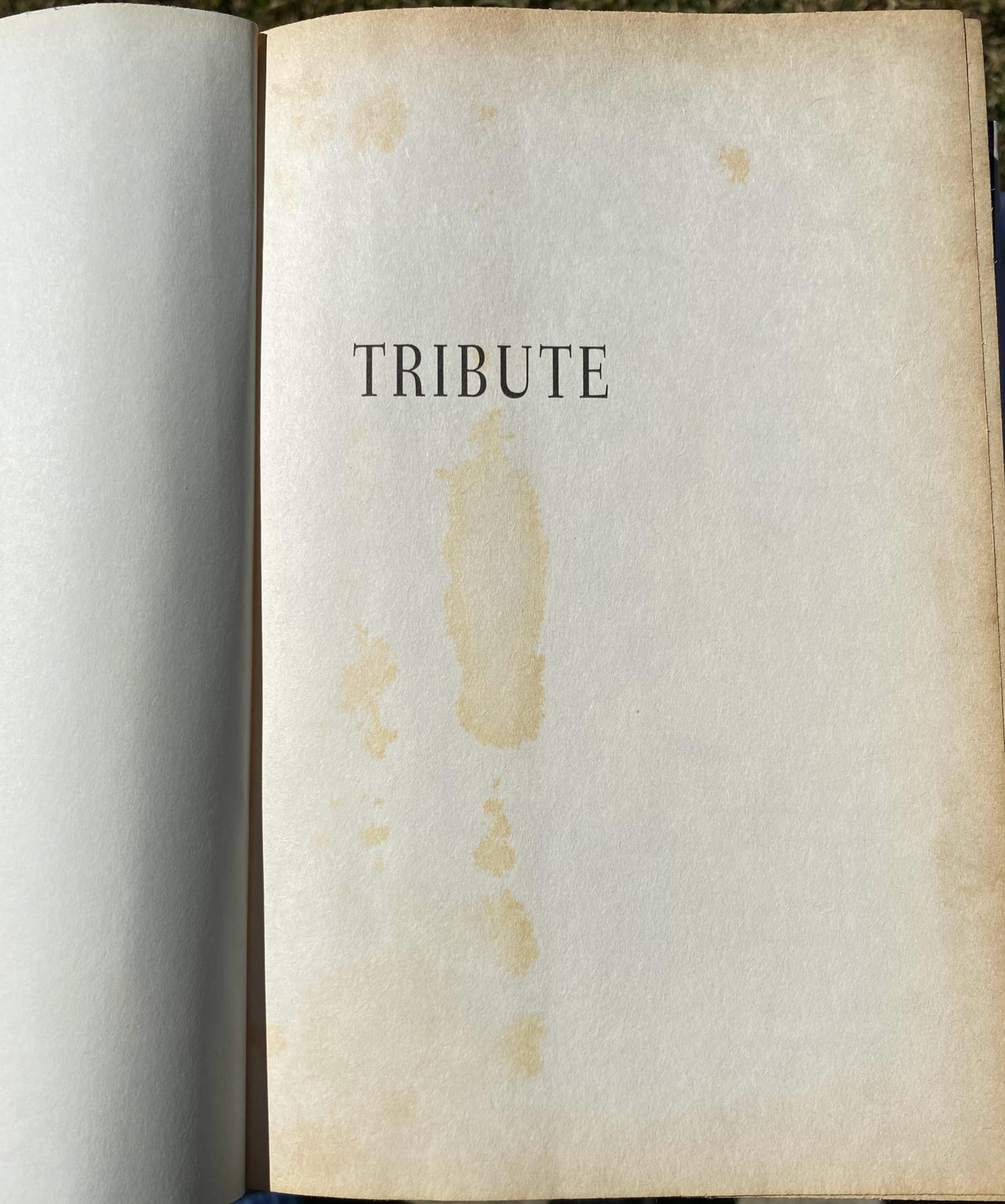 Tribute