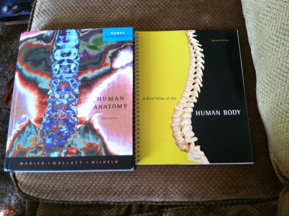 Human Anatomy