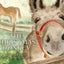 The Christmas Donkey by Donna Thornton