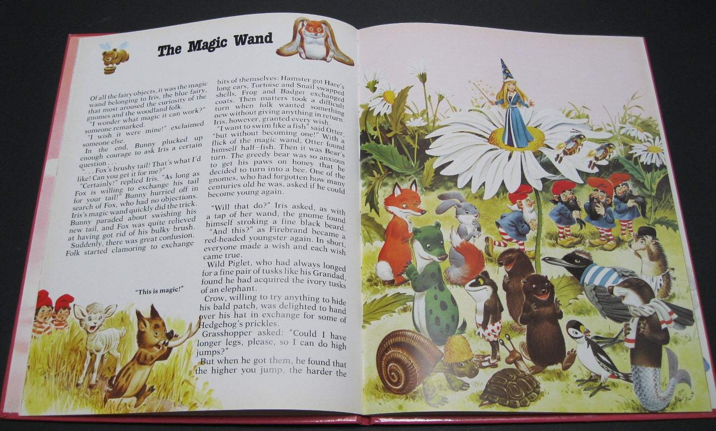 The Woodland Folk in Fairyland by Tony Wolf
