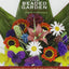 The Beaded Garden: Creating Flowers With Beads And Thread