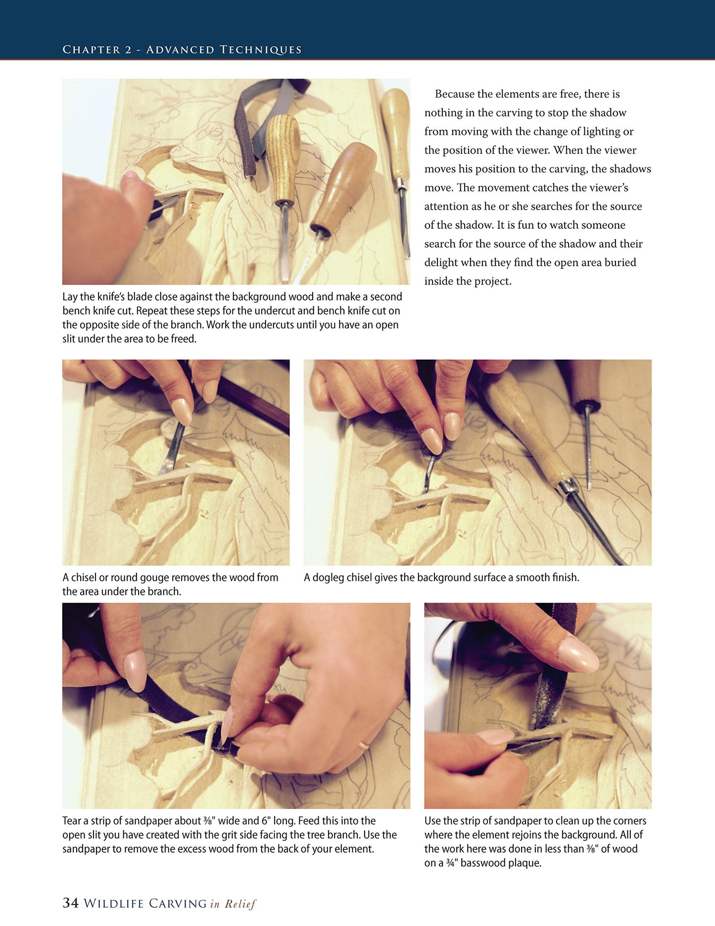 Wildlife Carving in Relief, Second Edition Revised and Expanded: Carving Techniques and Patterns (Fox Chapel Publishing) 39 Line & Shaded Patterns for Deer, Elk, Fish, Buffalo, Bears, Birds, and More