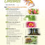 Biology: God's Living Creation