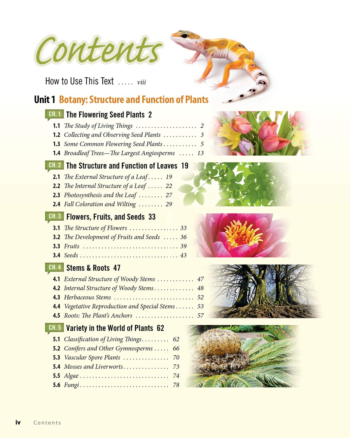 Biology: God's Living Creation