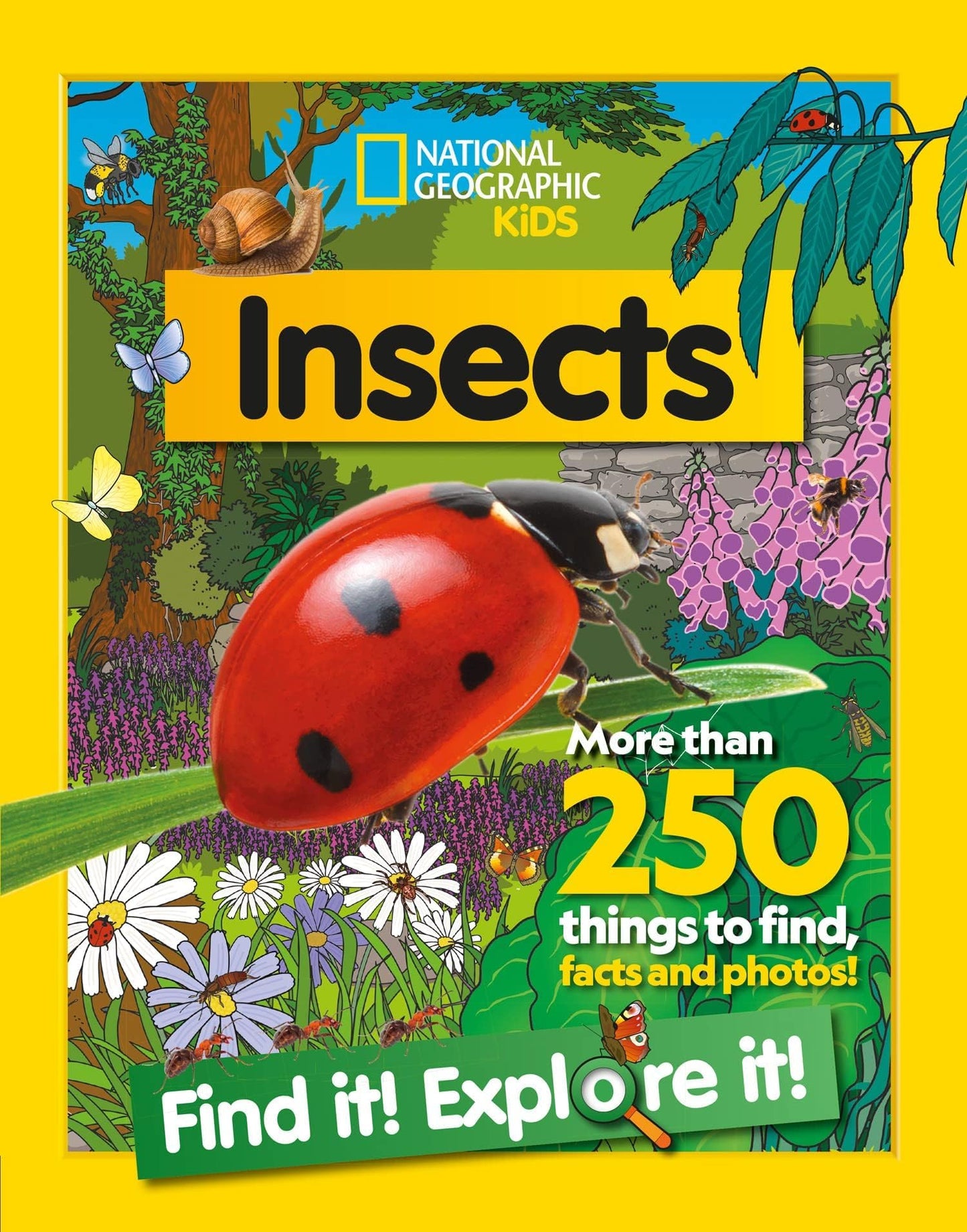 National Geographic Kids Find it! Explore it! 6 Books Collection Set(Animals, Oceans, History, Insects, Around the World & Dinosaurs) ( More Than 250 Things to find,Facts and Photos!)