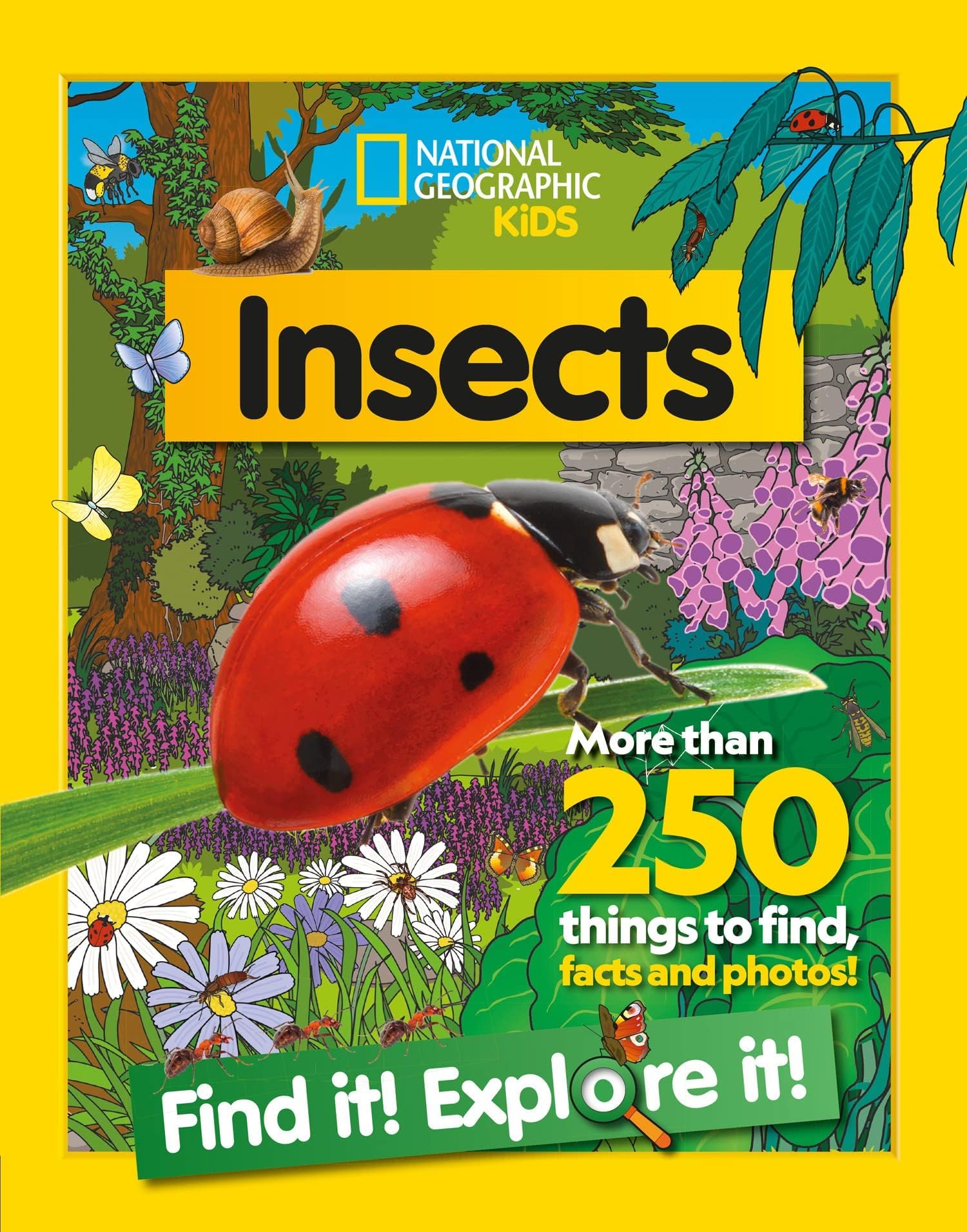 National Geographic Kids Find it! Explore it! 6 Books Collection Set(Animals, Oceans, History, Insects, Around the World & Dinosaurs) ( More Than 250 Things to find,Facts and Photos!)