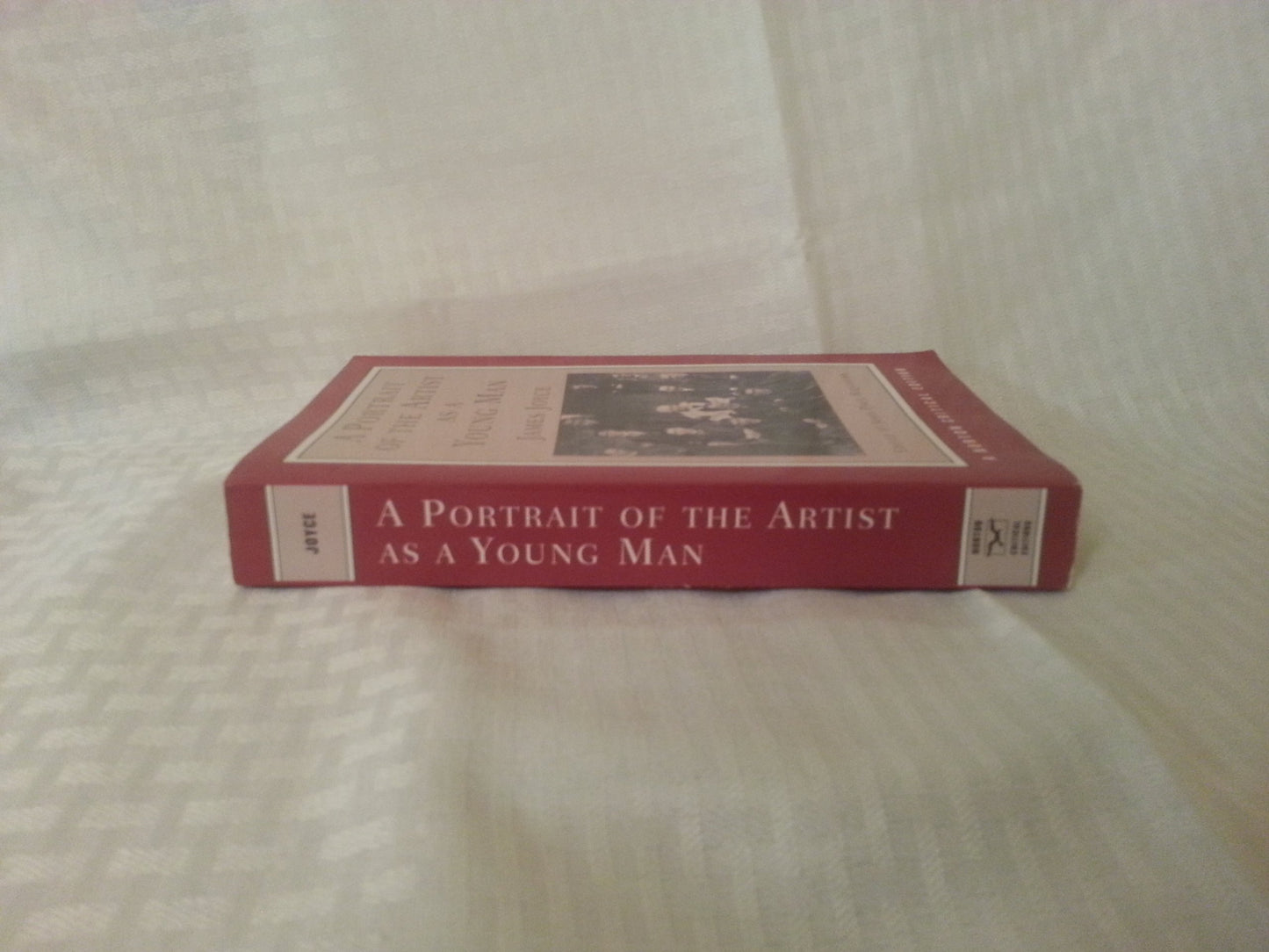 Portrait of the Artist As a Young Man (Norton Critical Editions)