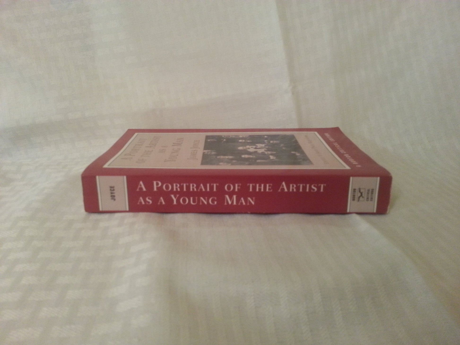 Portrait of the Artist As a Young Man (Norton Critical Editions)