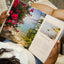 Israel: Beauty, Light, and Luxury (A Vibrant, Full-Color Coffee Table Book with 350 Photos of the Holy Land's Features, Flora, & People. Also Includes 31 Bible Devotionals)