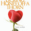 Life Is Like Licking Honey Off a Thorn: Reflections on the Joys and Pains of Life