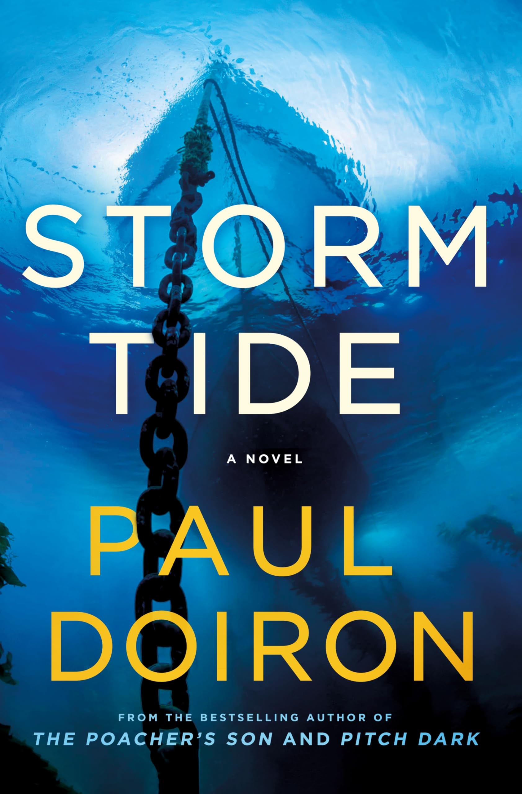 Storm Tide: A Novel (Mike Bowditch Mysteries, 16)