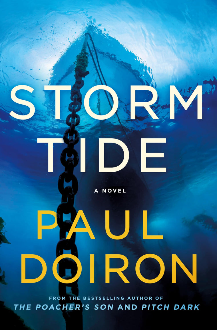 Storm Tide: A Novel (Mike Bowditch Mysteries, 16)
