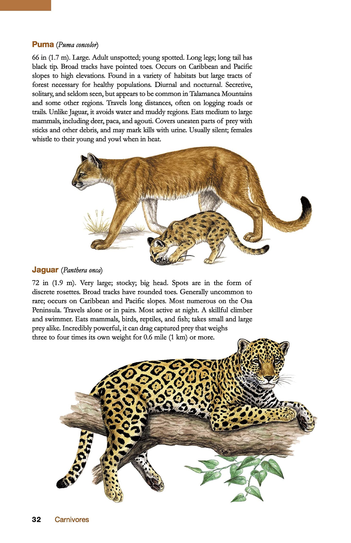 The Wildlife of Costa Rica: A Field Guide (Zona Tropical Pub)