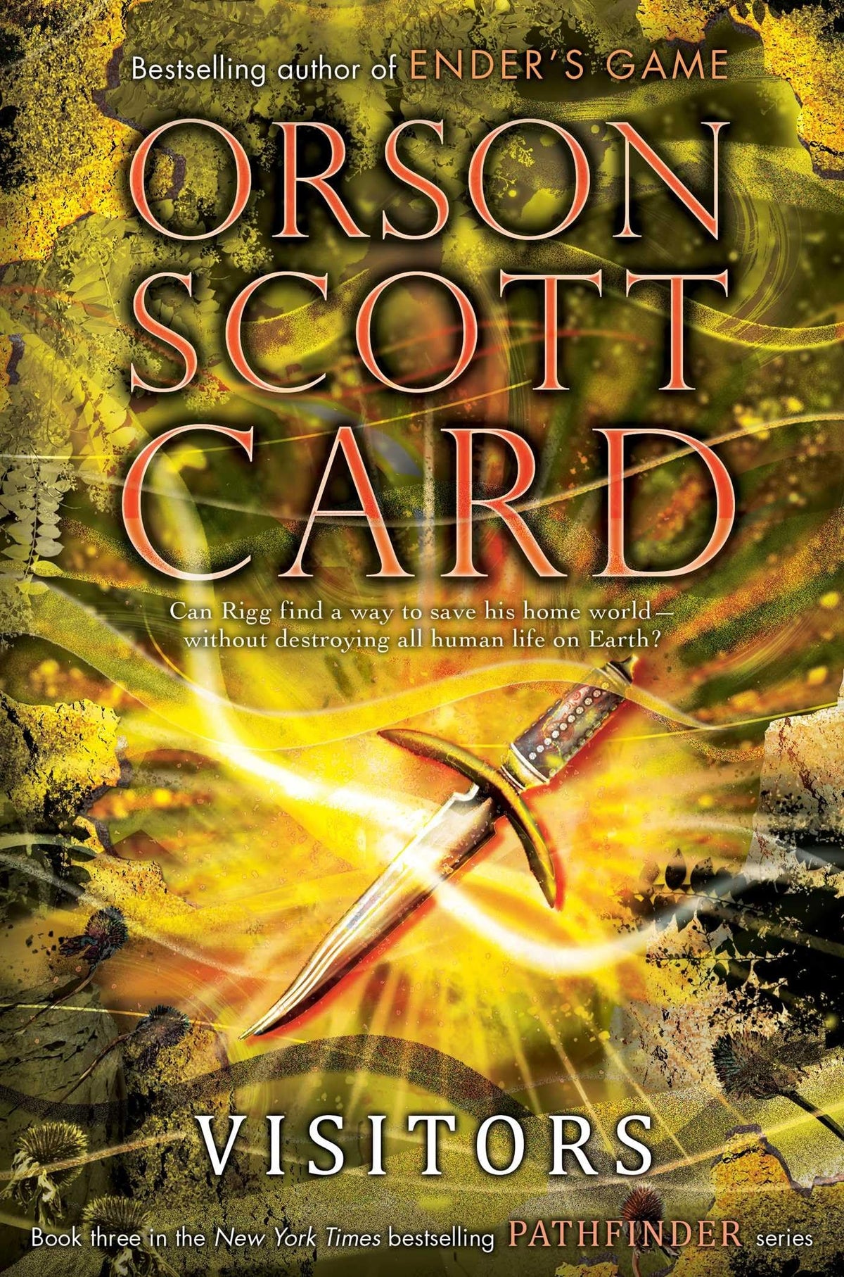 Visitors (Pathfinder Trilogy)