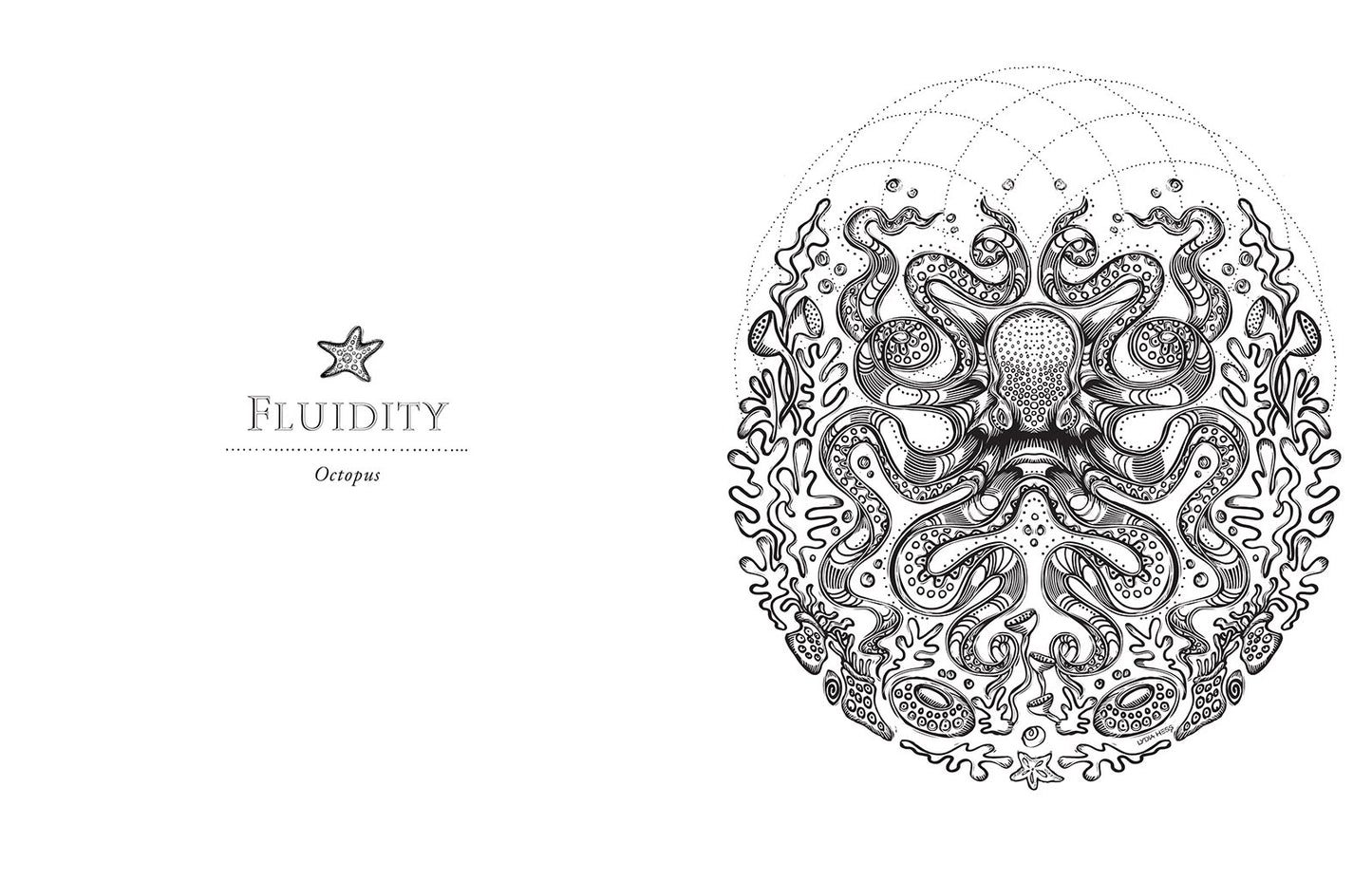 Sacred Animals (Coloring Books for the Soul)