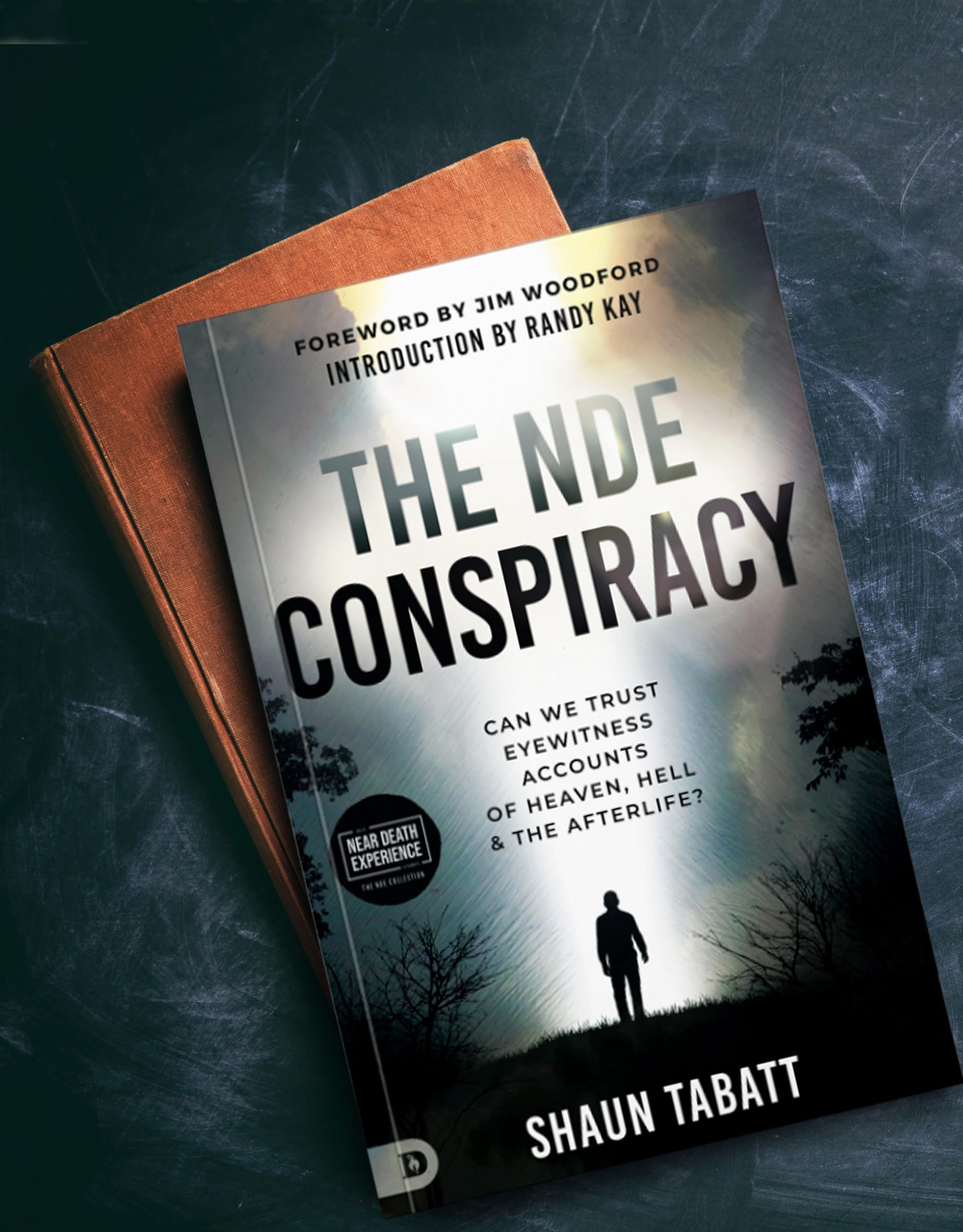 The NDE Conspiracy: Can We Trust Eyewitness Accounts of Heaven, Hell, and the Afterlife? (An NDE Collection)