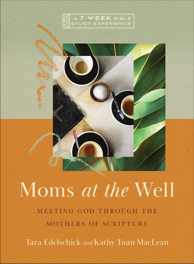 Moms at the Well: Meeting God Through the Mothers of Scripture-A 7-Week Bible Study with Video Access (IVP Bible Study Experience)