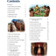 The Book of Mormon for Young Readers