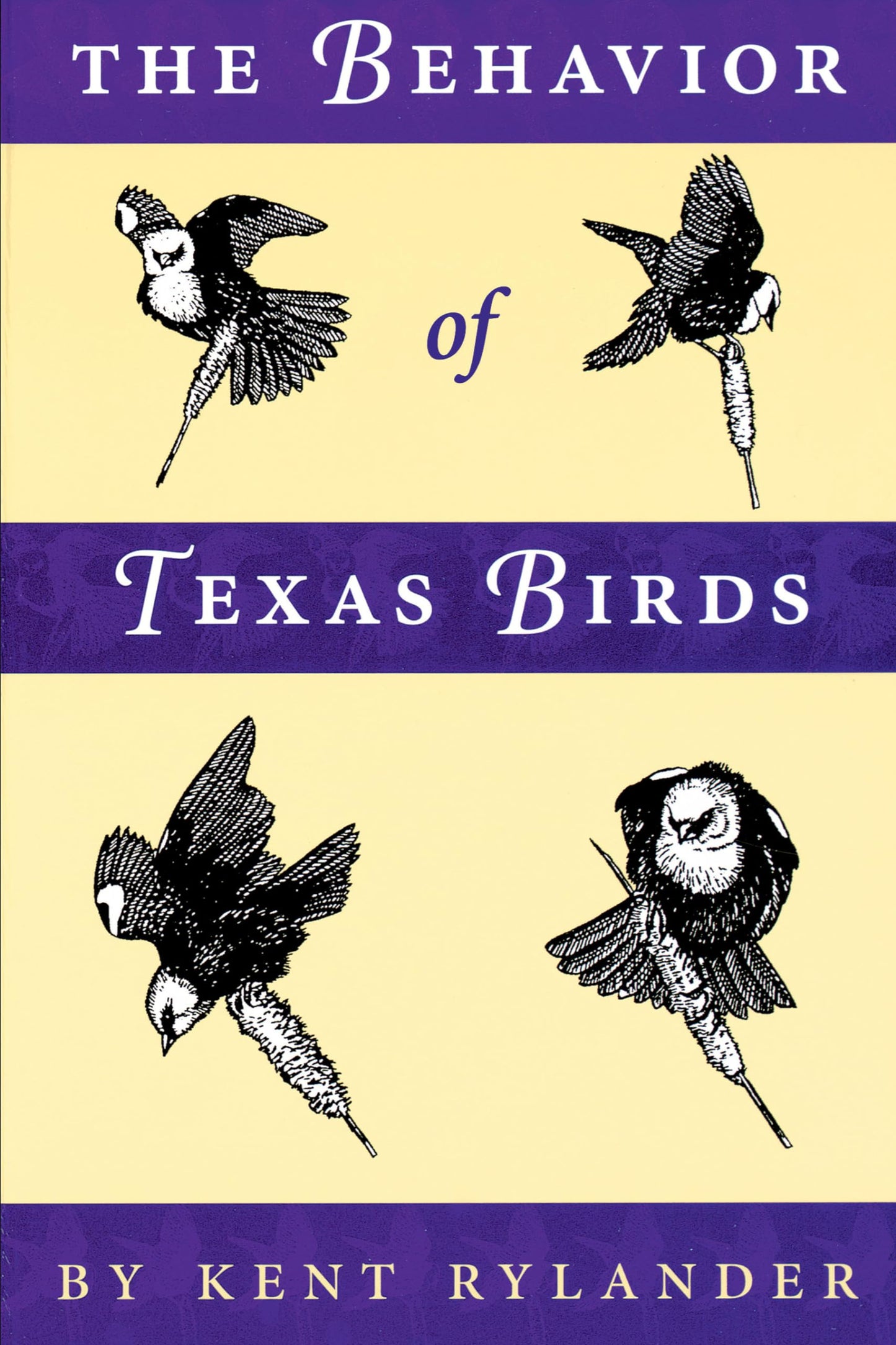 The Behavior of Texas Birds (Corrie Herring Hooks Series)
