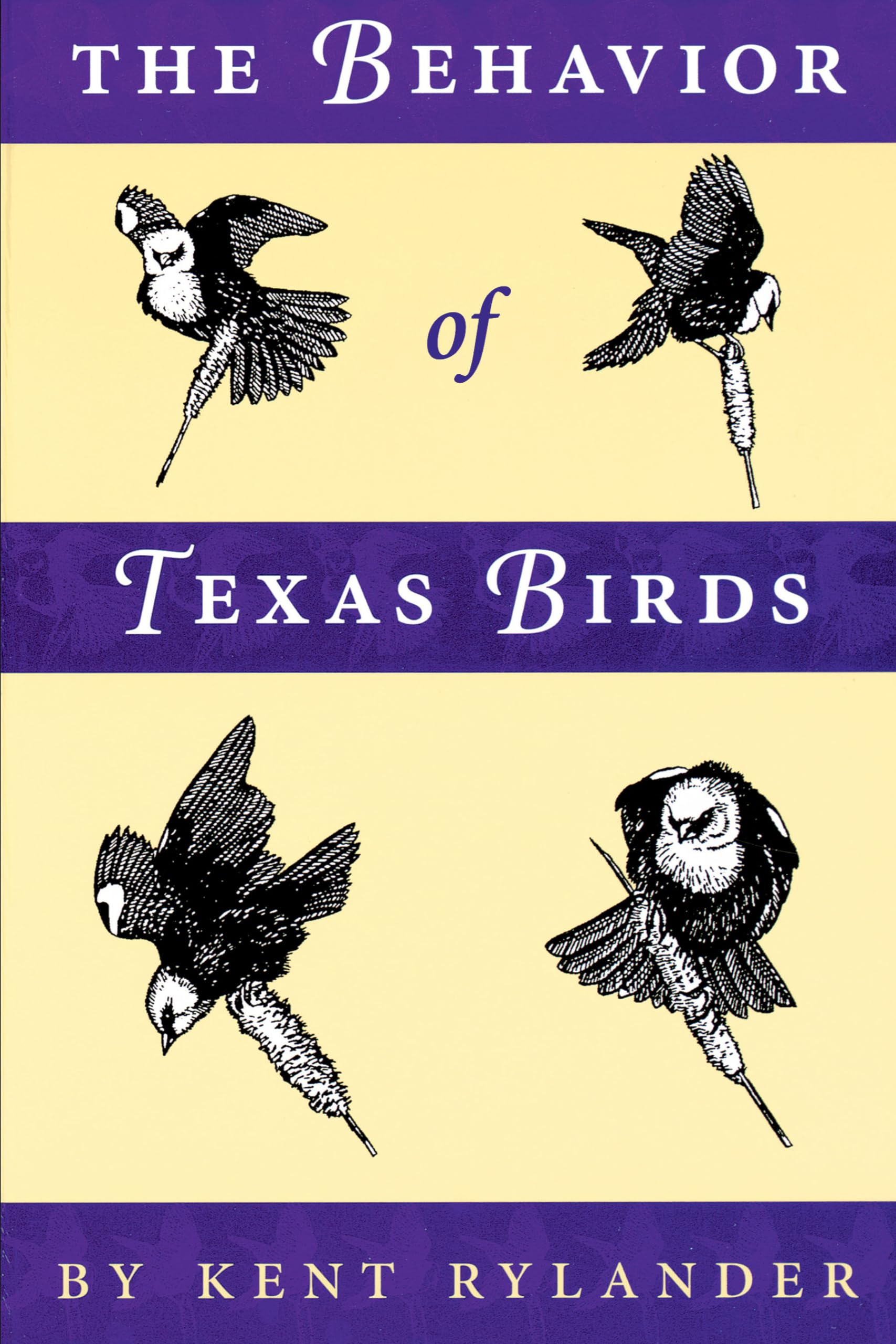 The Behavior of Texas Birds (Corrie Herring Hooks Series)