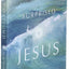 Surprised by Jesus: Subversive Grace in the Four Gospels