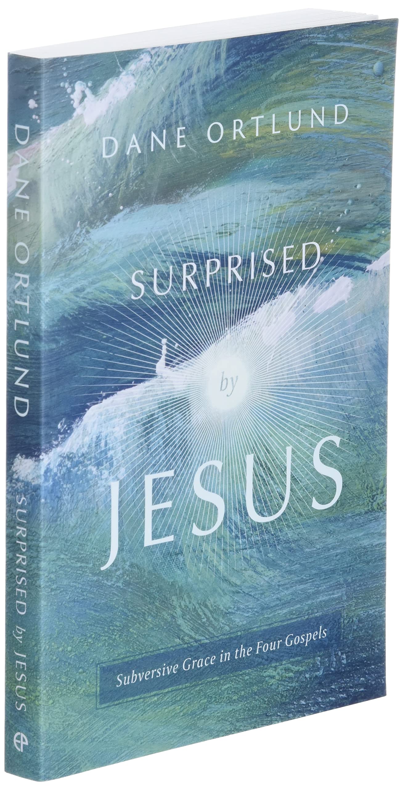 Surprised by Jesus: Subversive Grace in the Four Gospels