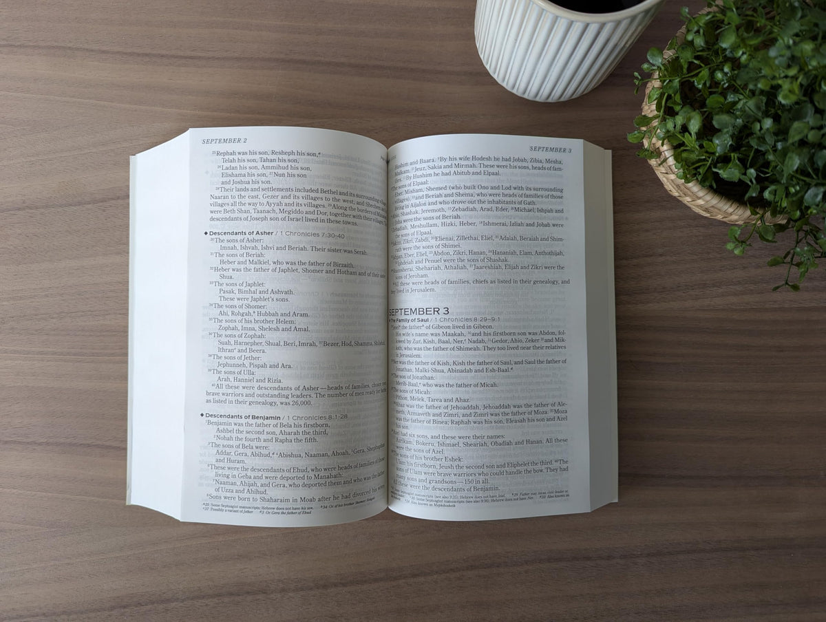 The One Year Chronological Bible NIV (Softcover)