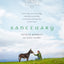 Sanctuary: The True Story of an Irish Village, a Man Who Lost His Way, and the Rescue Donkeys That Led Him Home
