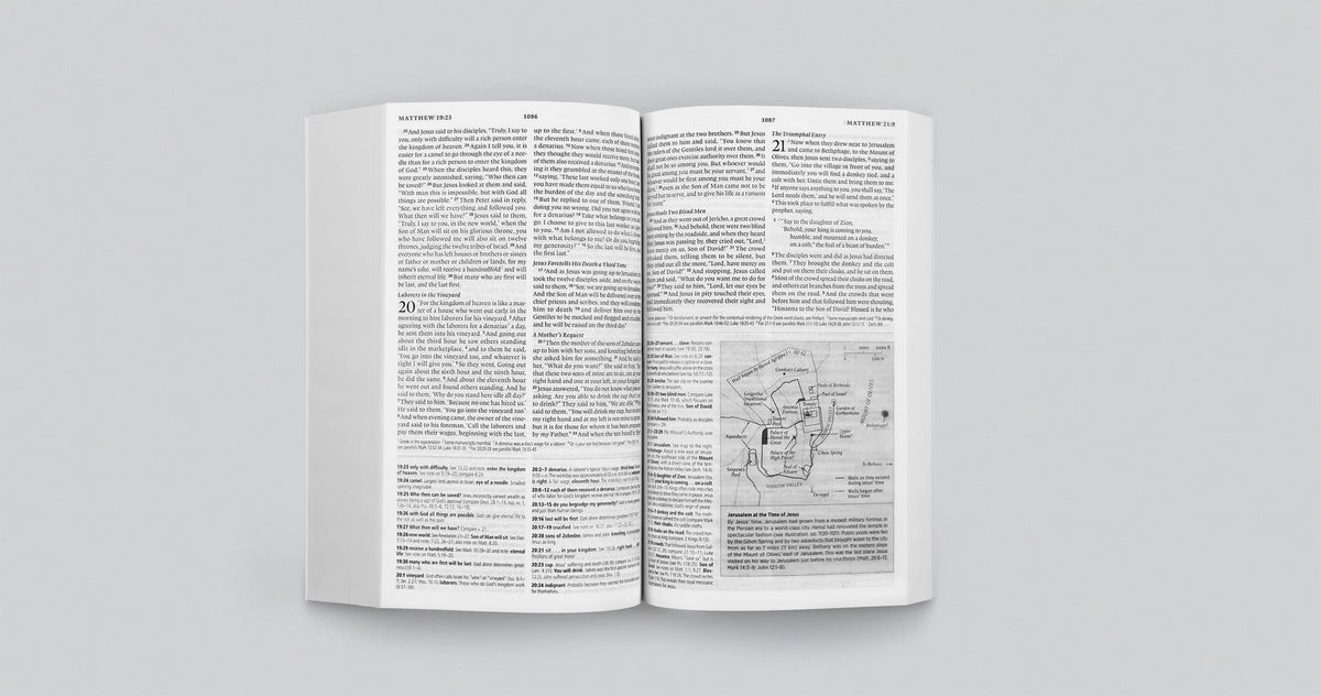 ESV Concise Study Bible, Economy Edition (Paperback): Holy Bible, English Standard Version