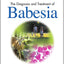 The Diagnosis and Treatment of Babesia