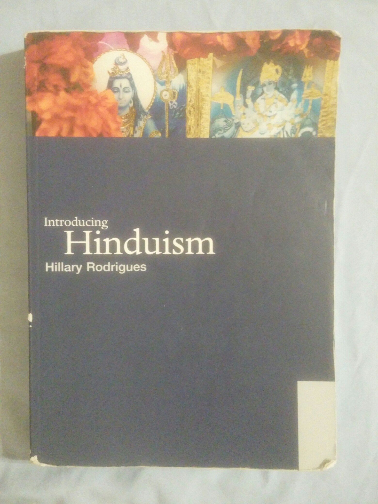 Introducing Hinduism (World Religions)