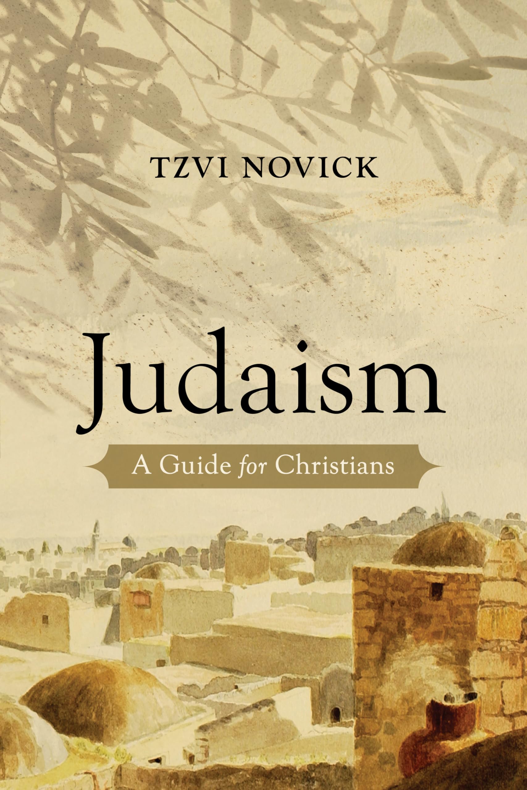 Judaism: A Guide for Christians