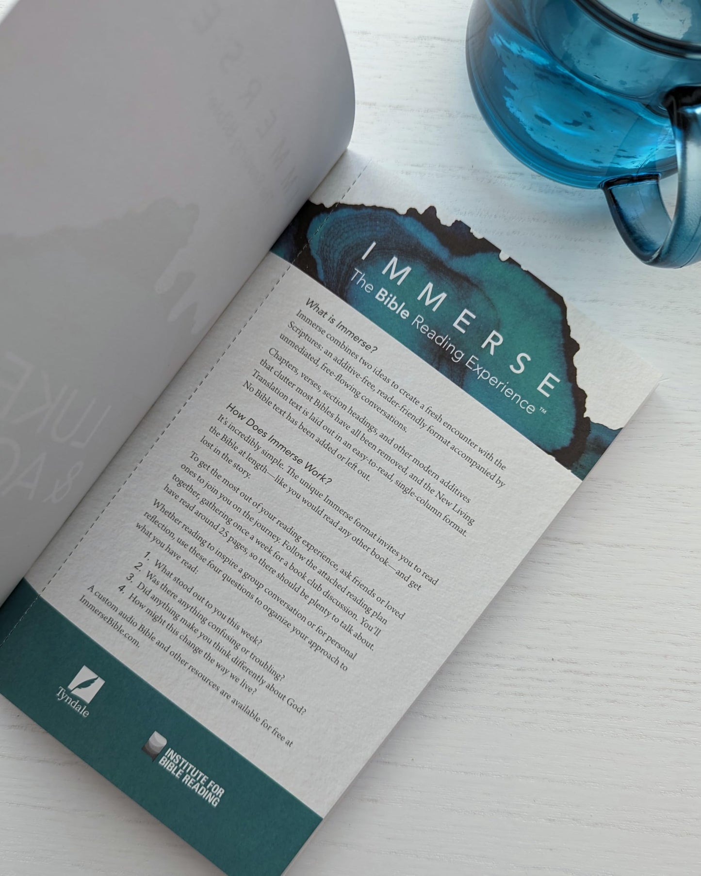 Immerse: Luke & Acts (Softcover) (Immerse: The Reading Bible)