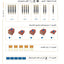Arabic Between Your Hands : Level 1, Part 1 (Arabic Edition)