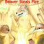 Beaver Steals Fire: A Salish Coyote Story