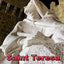 Defenders of the Faith: Saints of the Counter Reformation (Super Saints, Bk. 3)