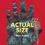 Actual Size by Steve Jenkins