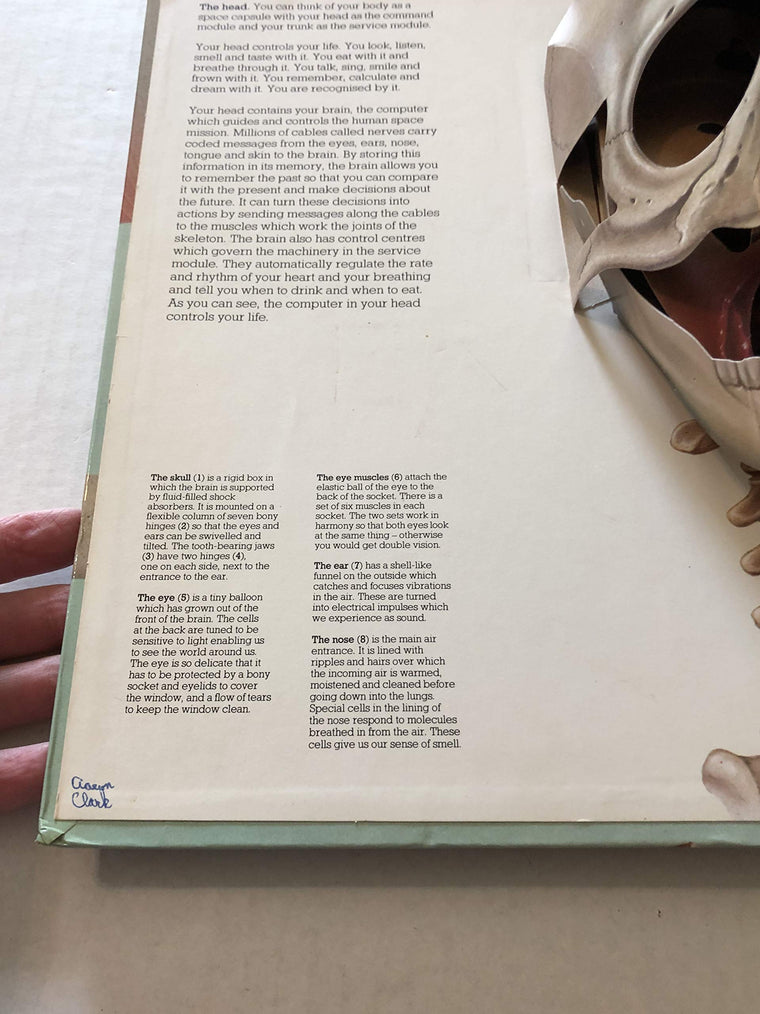 The Human Body: With Three-Dimensional, Movable Illustrations Showing the Workings of the Human Body — back cover