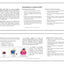 Super Duper Publications  Phrase FLiPS for Learning Intelligible Production of Speech  Educational Resource for Children