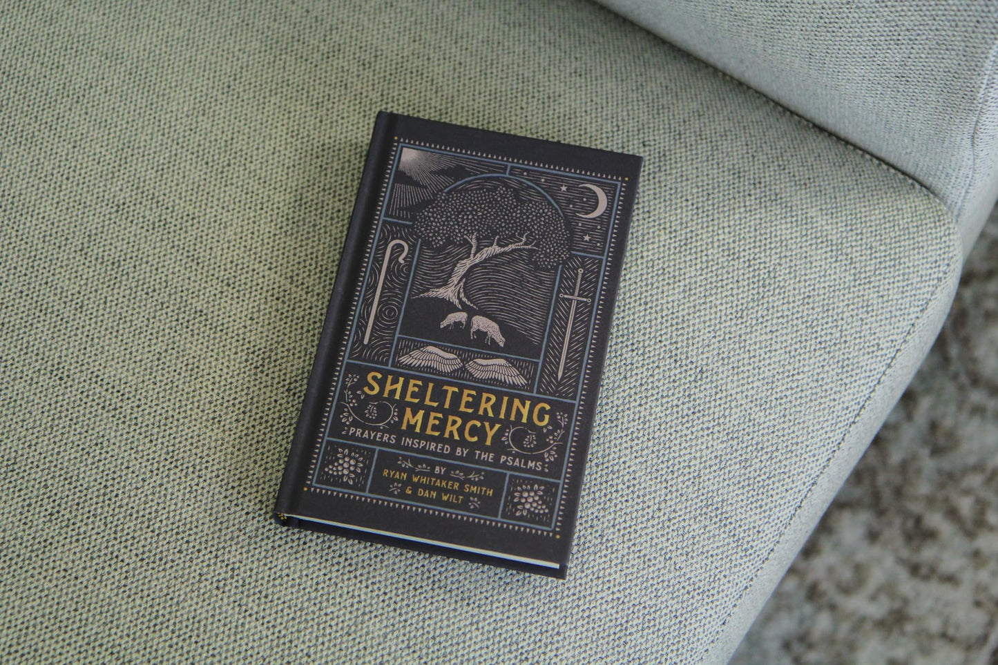 Sheltering Mercy: Prayers Inspired by the Psalms (An Illustrated Devotional Prayer Book with 75 Daily Free-Verse Poetic Prayer Responses - One for Each of the 1st 75 Psalms)