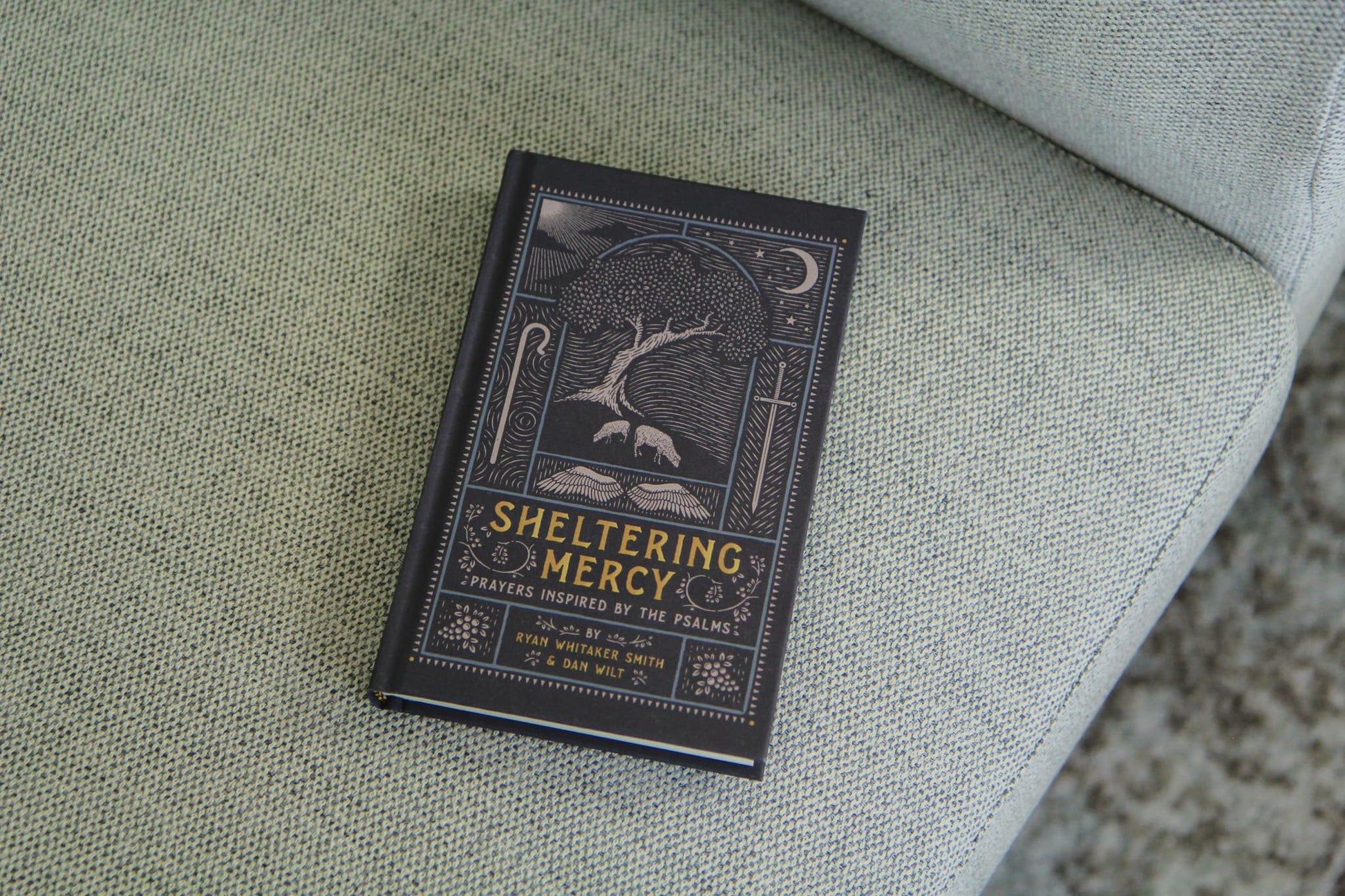 Sheltering Mercy: Prayers Inspired by the Psalms (An Illustrated Devotional Prayer Book with 75 Daily Free-Verse Poetic Prayer Responses - One for Each of the 1st 75 Psalms)
