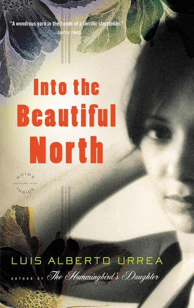 Into the Beautiful North: A Novel
