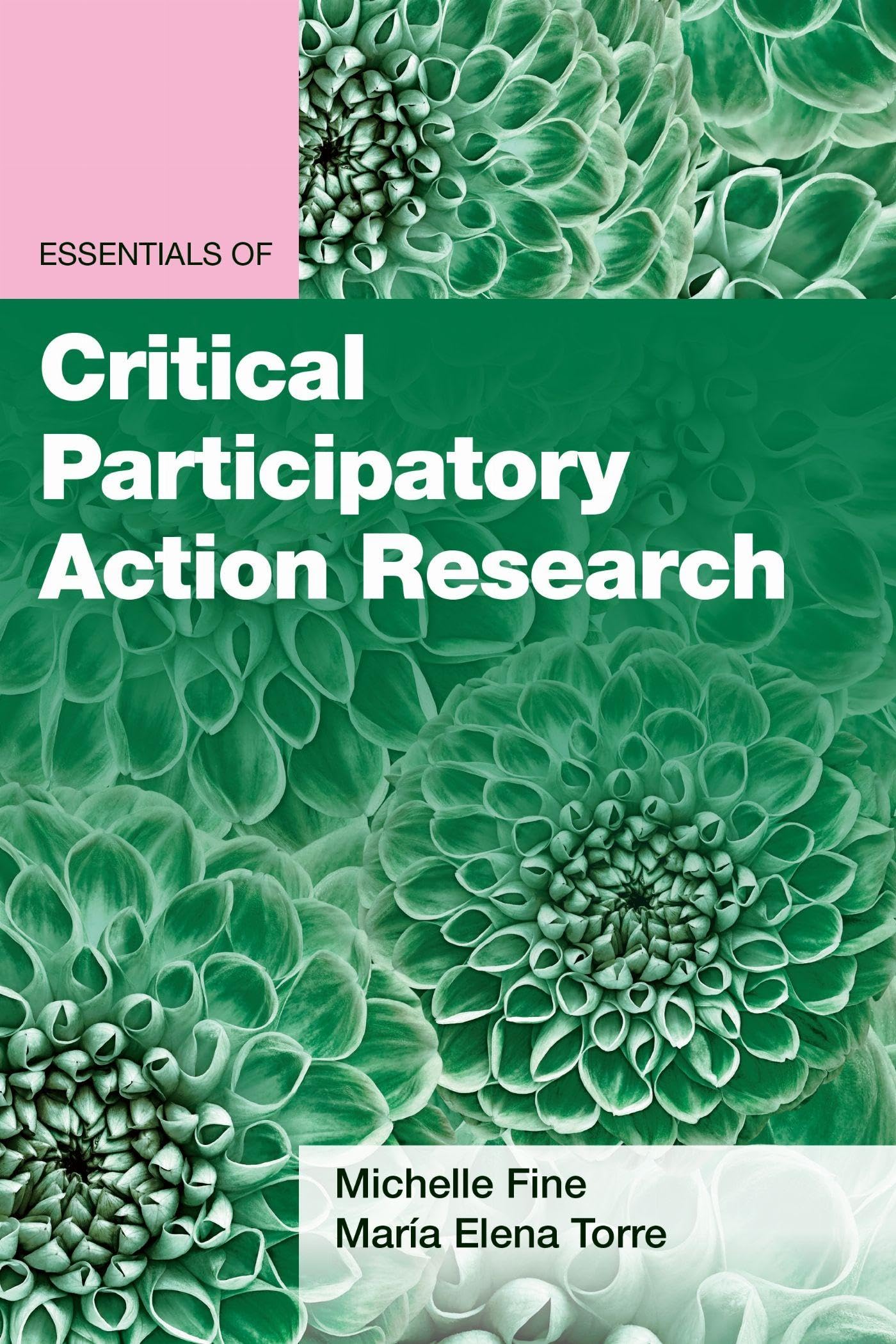 Essentials of Critical Participatory Action Research (Essentials of Qualitative Methods Series)