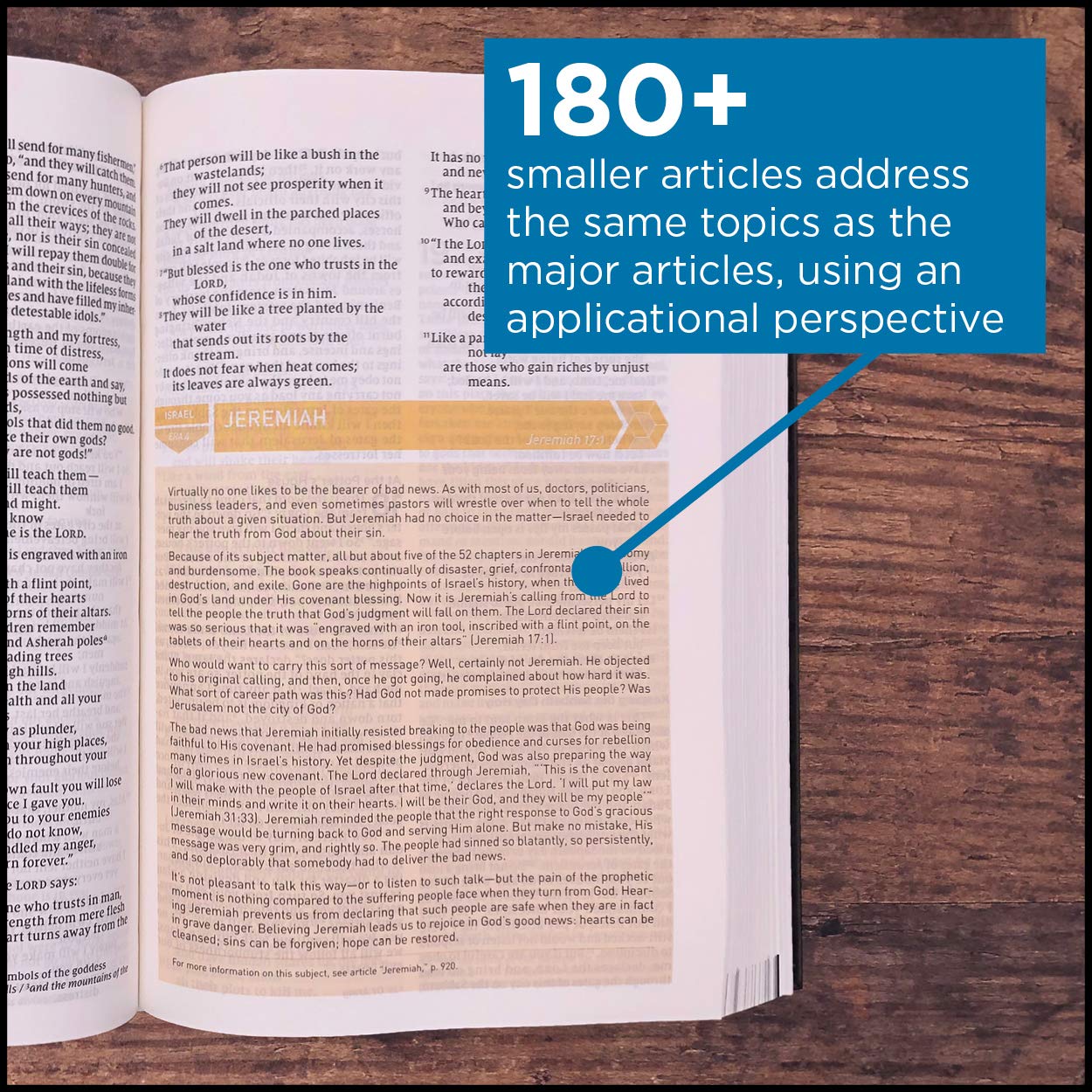 NIV, Storyline Bible, Hardcover, Comfort Print: Each Story P